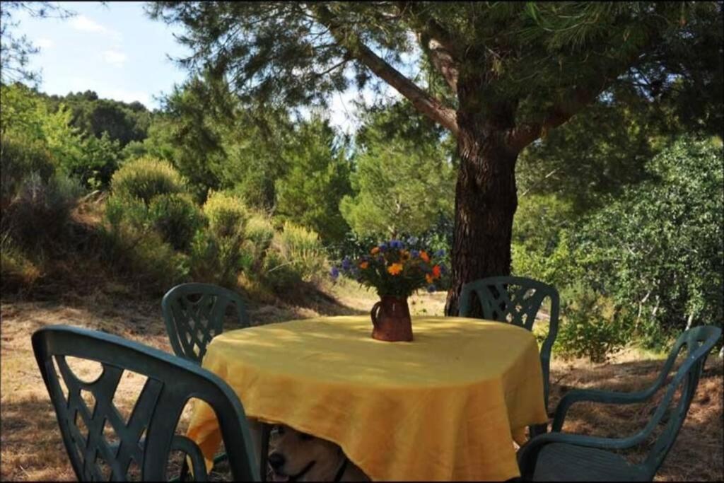 Charmant Mas Tout Equipe En Pleine Nature Catalane Cases-de-Pene Dış mekan fotoğraf
