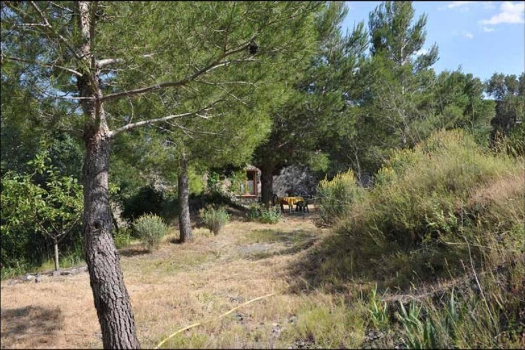 Charmant Mas Tout Equipe En Pleine Nature Catalane Cases-de-Pene Dış mekan fotoğraf